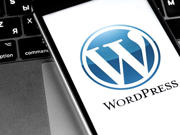 wordpress-img