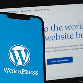 WordPress Websites